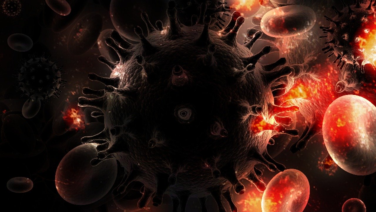 corona virus, germs, immune